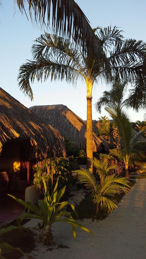 Village Temanuata Bora Bora Bagian luar foto