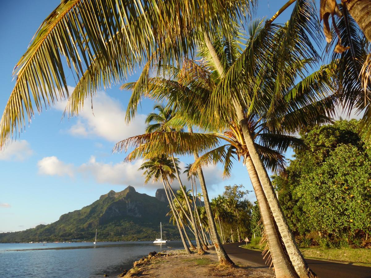 Village Temanuata Bora Bora Bagian luar foto